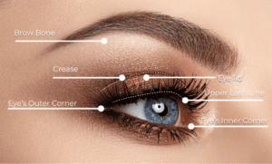 eyeshadow manual