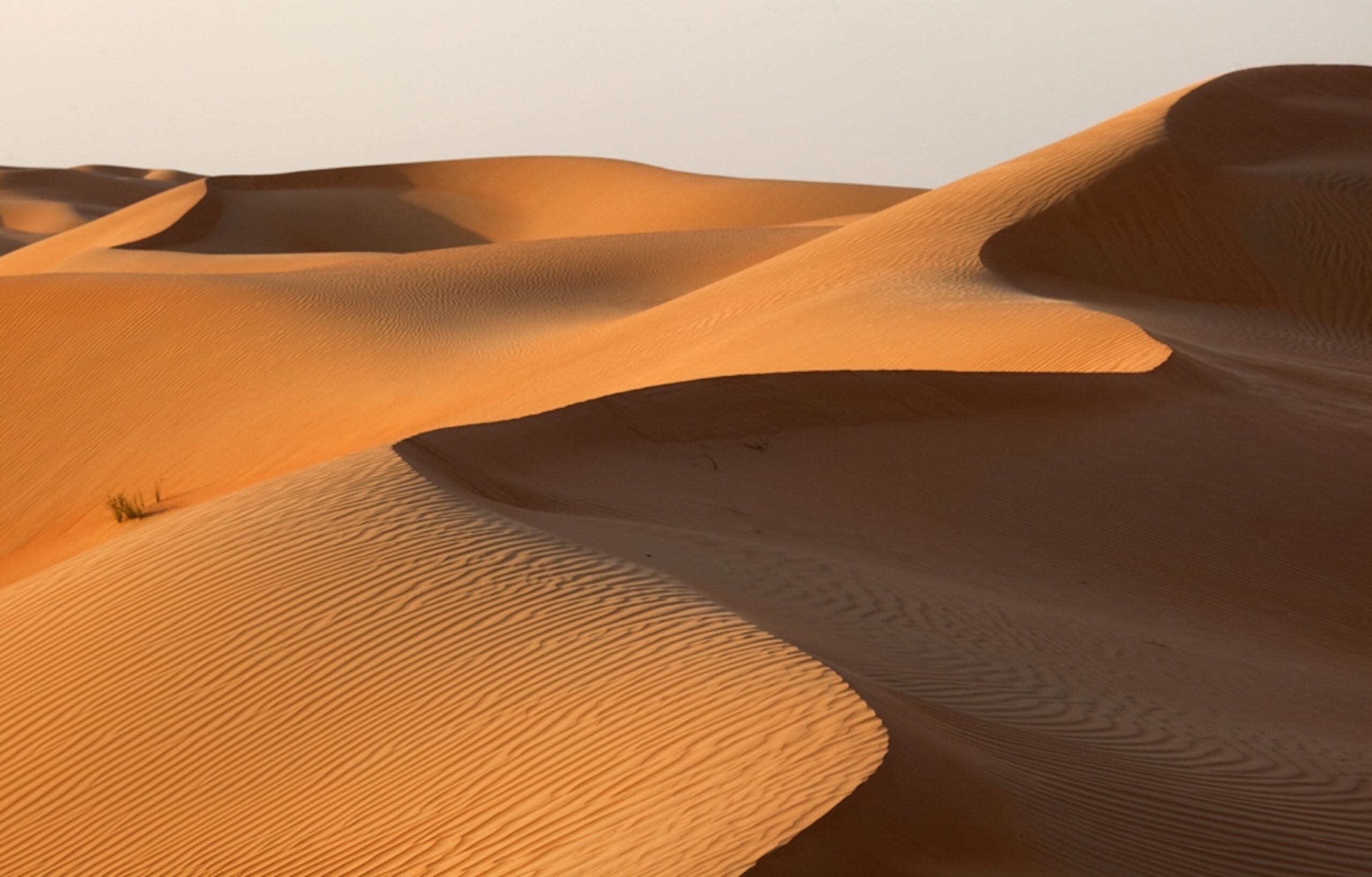Abu Dhabi’s Desert Rose: An In-Depth Guide To The Empty Quarter