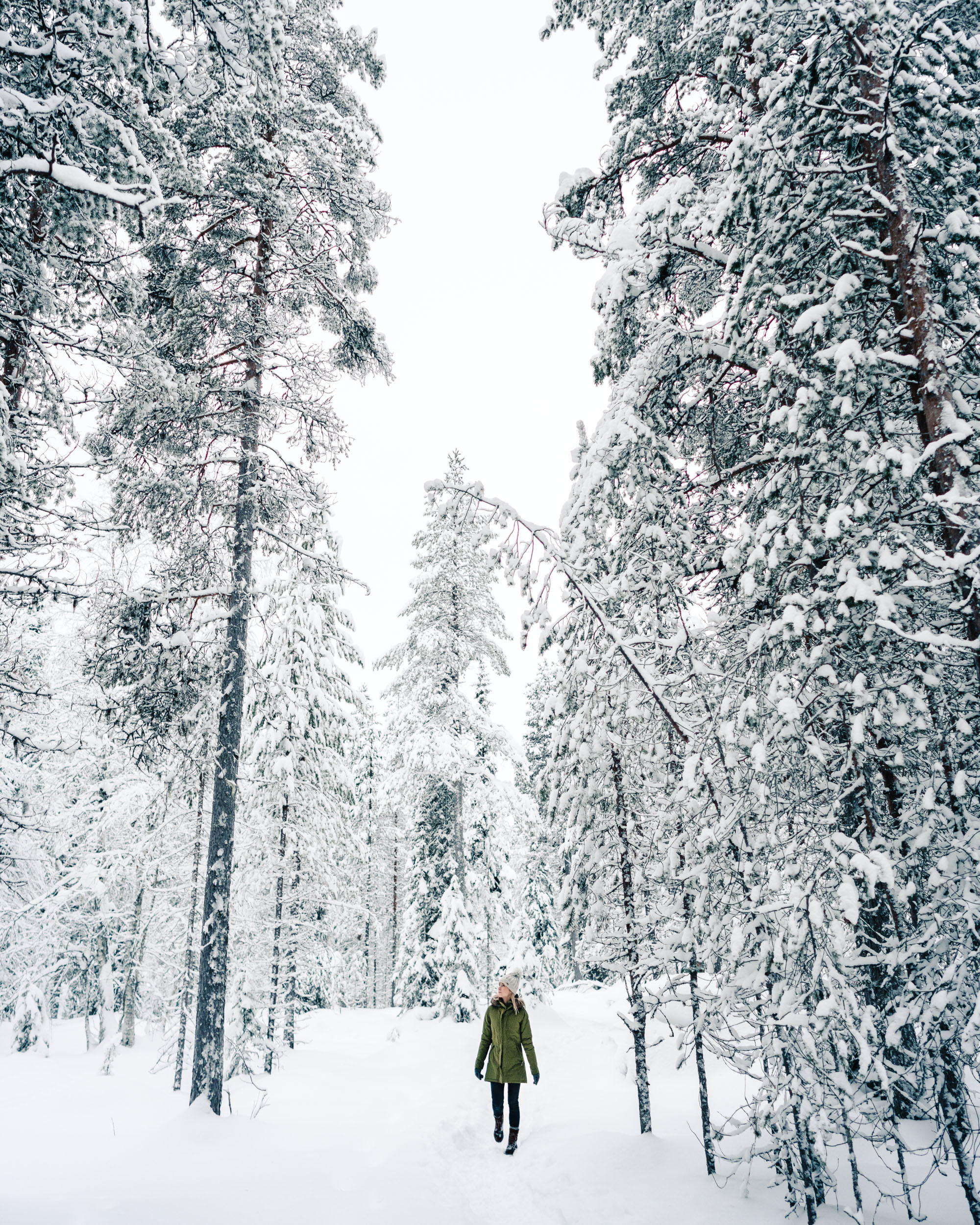 From Sand To Snow: My Winter Wonderland Experience In Finland.