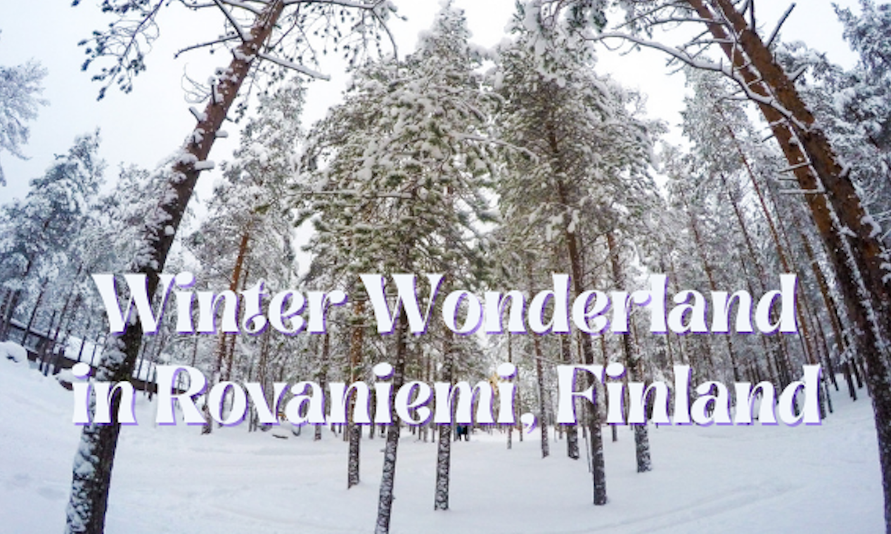 From Sand To Snow: My Winter Wonderland Experience In Finland.