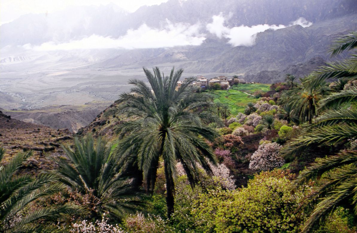 From UAEs Oasis To Amazons Rainforest: A Journey Of Wonders.