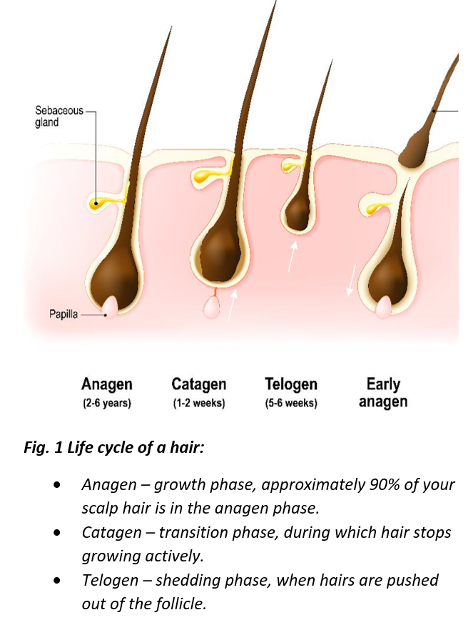 How Hormonal Changes Impact Your Hair Health | Stylish.ae Insights