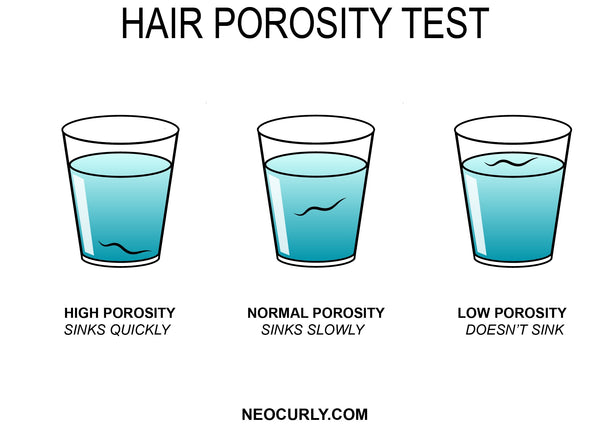 Porosity 101: How To Determine And Care For Your Hairs Porosity