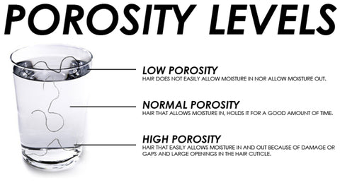 Porosity 101: How To Determine And Care For Your Hairs Porosity