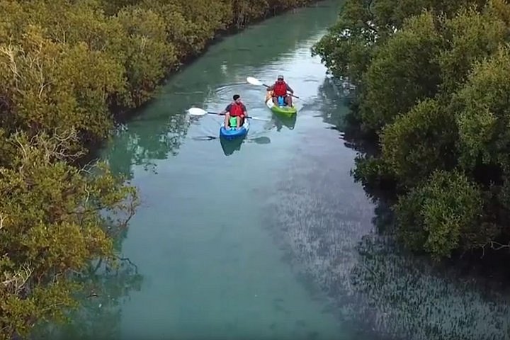 Stylish.ae Presents: Abu Dhabi’s Mangrove Kayaking Adventures