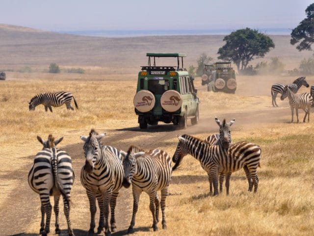 Stylish.ae Ventures: Encountering Wildlife In South African Safaris.