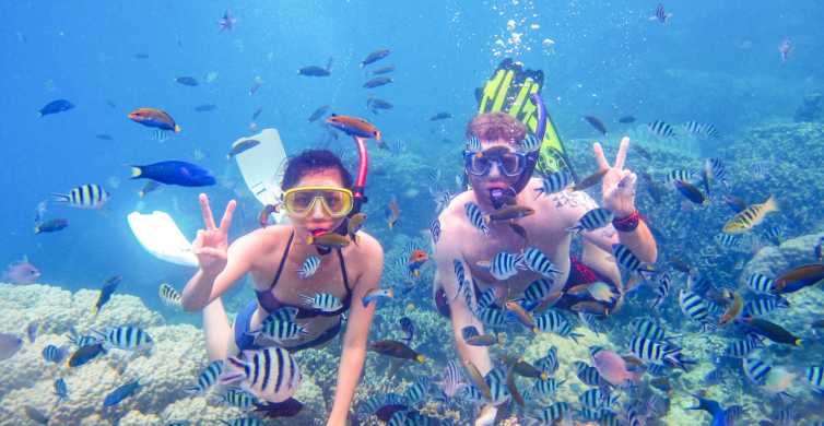 Taking The Plunge: Scuba Diving Adventures From UAE To Maldives.