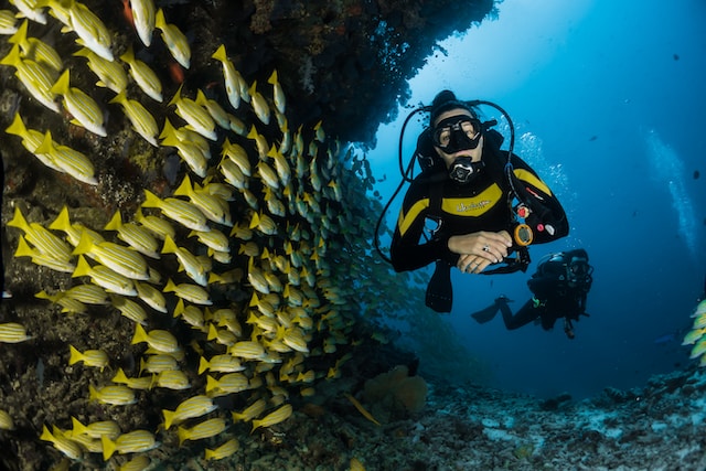 Taking The Plunge: Scuba Diving Adventures From UAE To Maldives.