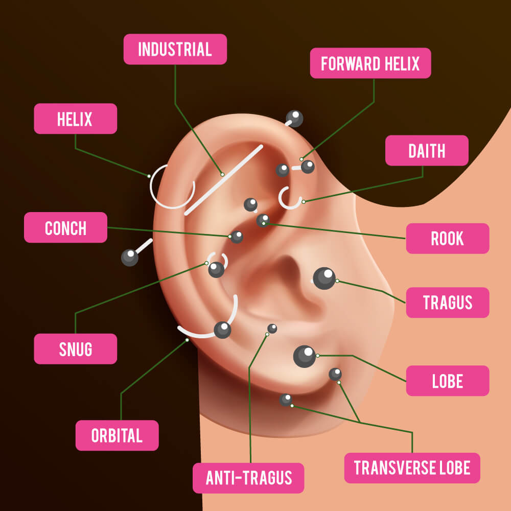 Tragus, Rook, And Helix: Decoding Ear Piercing Names