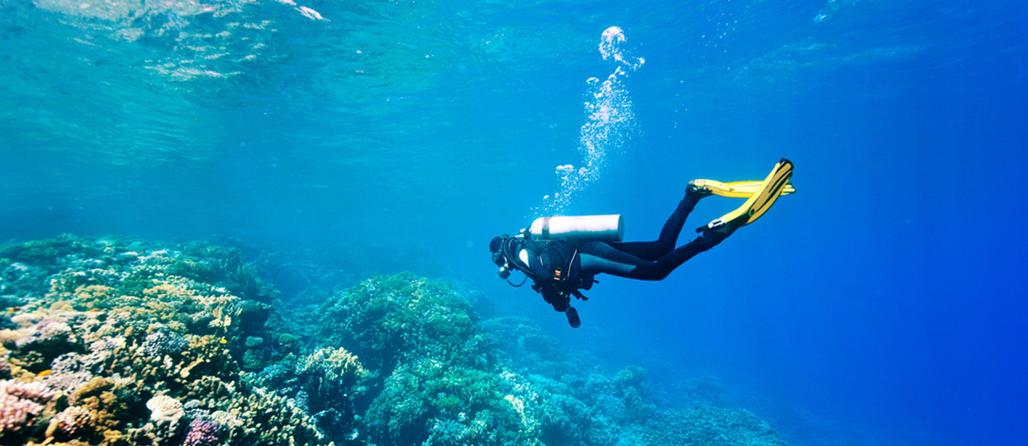 Underwater Adventures: Scuba Diving Spots Off Abu Dhabis Coast