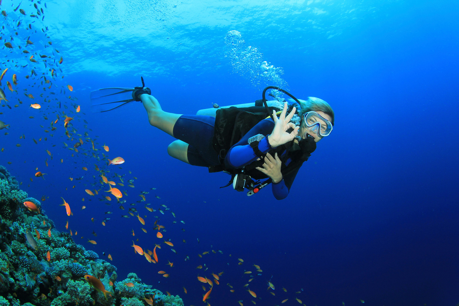 Underwater Adventures: Scuba Diving Spots Off Abu Dhabis Coast