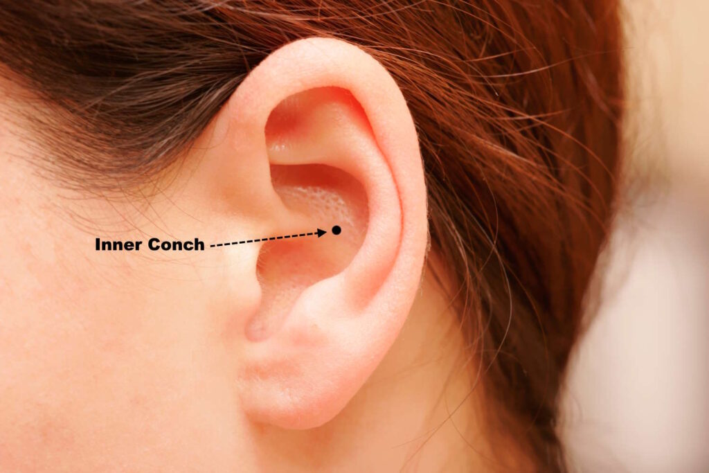 Conch Piercings: The Inner And Outer Journey