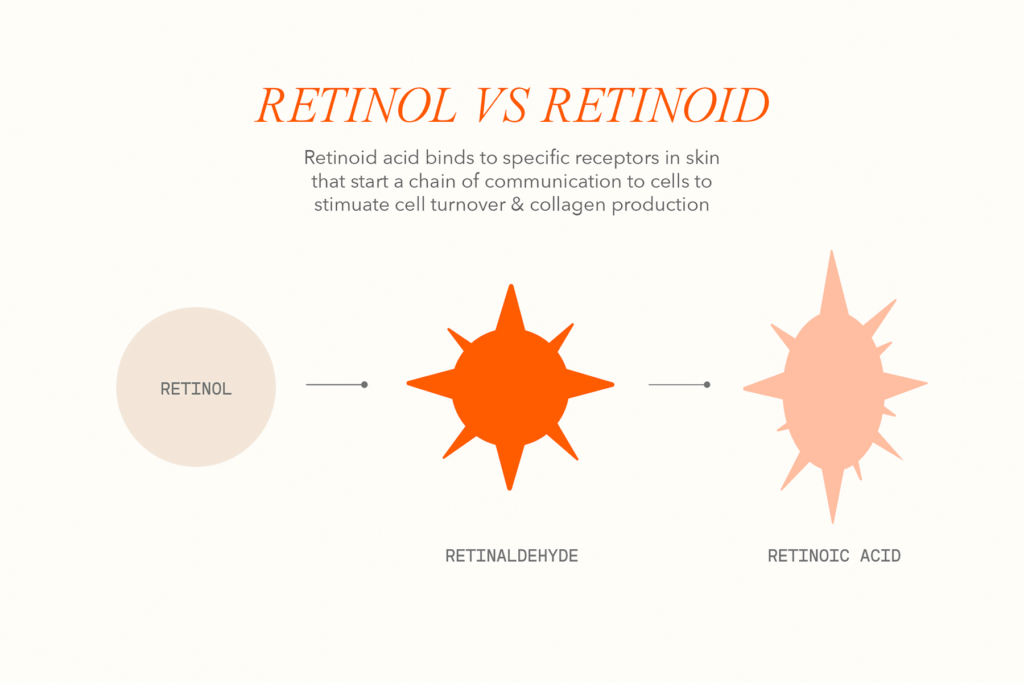Navigating The World Of Retinoids And Retinol