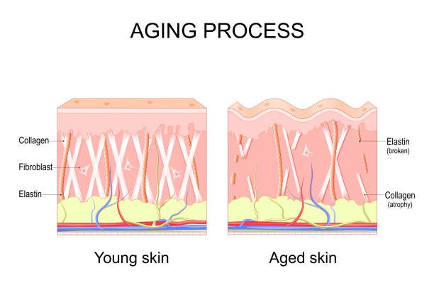 Unveiling The Benefits Of Collagen For Skin