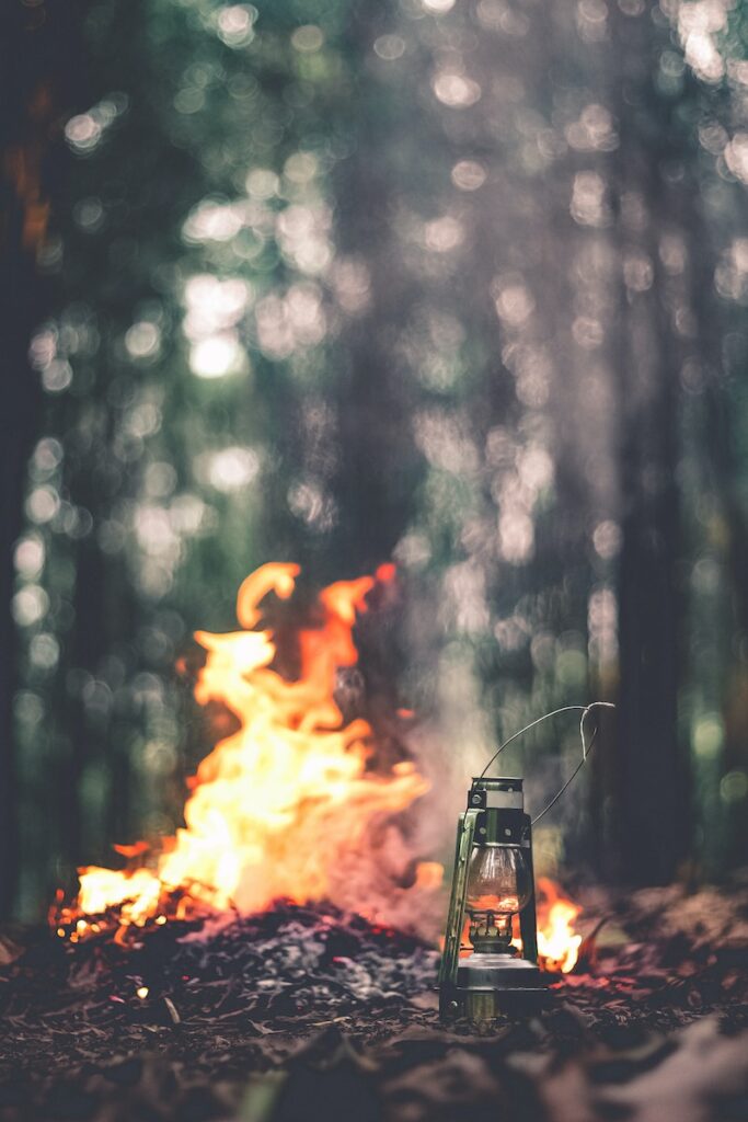 Leaves and Campfire