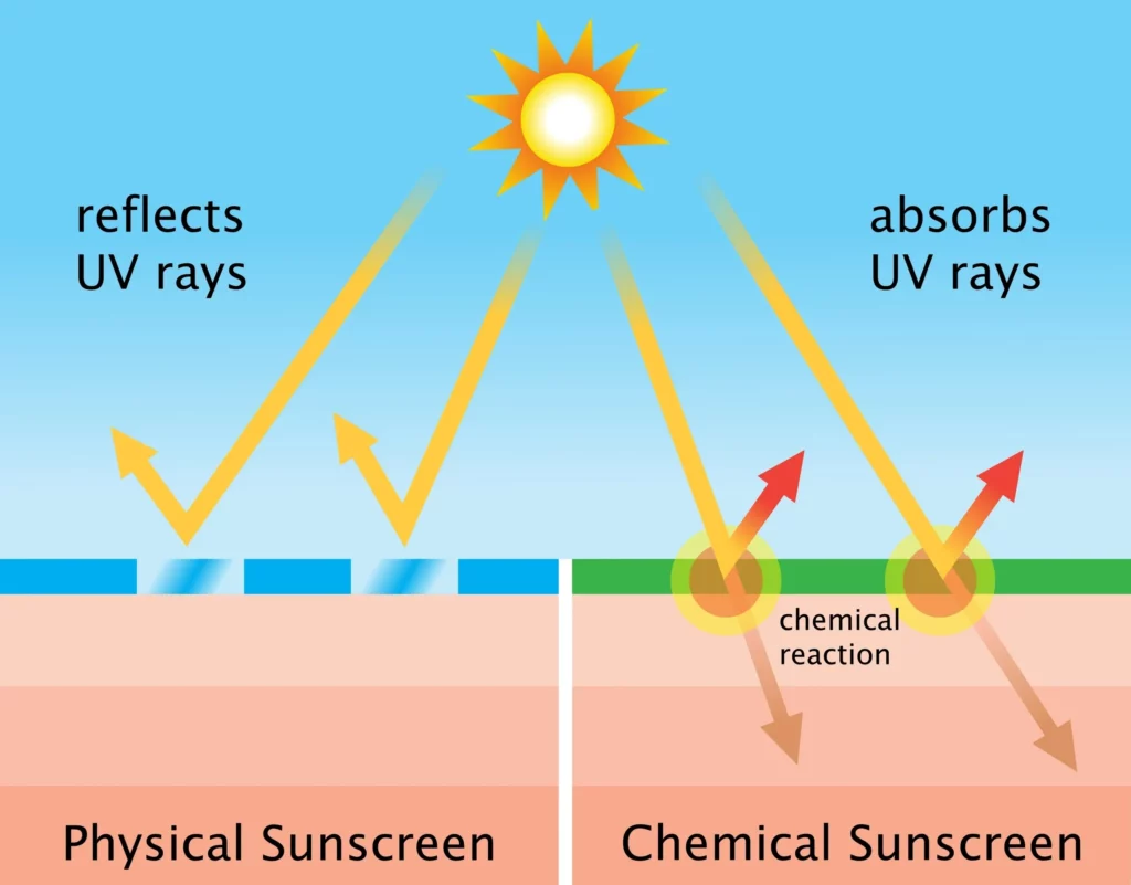 Physical vs. Chemical Sunscreens