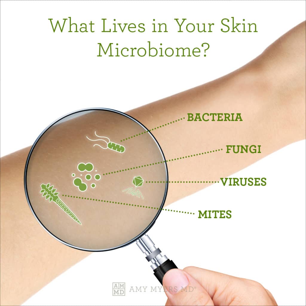 Skin Microbiome: The World Of Good Bacteria And Skin Health