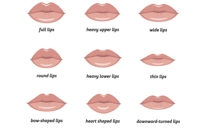 Lips Shapes